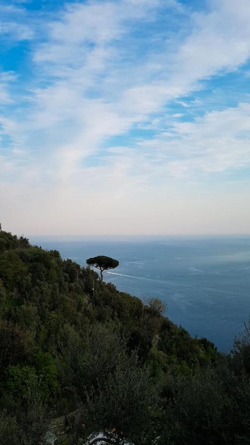 Yourhome - Relais Casa Degli Angeli Positano Kültér fotó